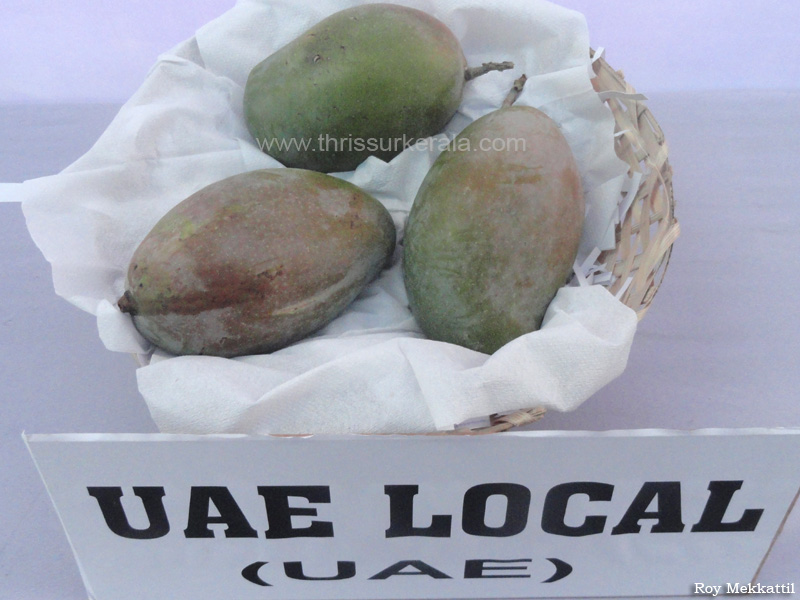 UAE Local